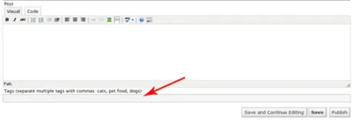 WordPress 2.3 tags option