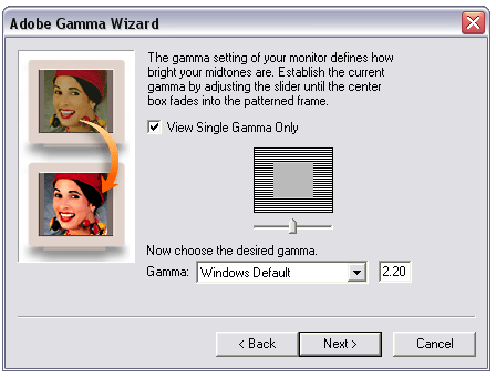 Gamma Adjustment